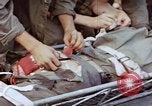 Image of Battle of Munda Rendova Beach Solomon Islands, 1943, second 54 stock footage video 65675041131