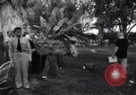 Image of Harry Truman Key West Florida USA, 1950, second 33 stock footage video 65675041135