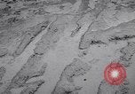 Image of Torrential rains Korea, 1952, second 14 stock footage video 65675041154