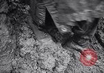 Image of Torrential rains Korea, 1952, second 28 stock footage video 65675041154