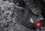Image of Torrential rains Korea, 1952, second 29 stock footage video 65675041154