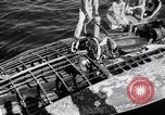 Image Slo-mo-shun IV hydravion Seattle Washington USA, 1952, de la seconde 61 séquences d'archives historiques vidéo 65675041158