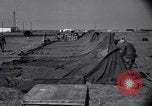 Immagine di Tactical ospedali Giappone, 1960, secondo 50 filmato di repertorio 65675041184