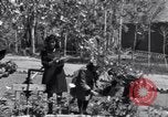 Standbild Feier der Freundschaft Pakt zwischen der Sowjetunion und Aserbaidschan Aserbaidschan Iran, 1946, aus Sekunde 44 historischem Filmmaterial Videoclip 65675041187