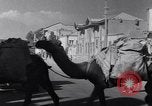 Standbild Royal Palace Teheran Iran, 1943, aus Sekunde 45 historischem Filmmaterial Videoclip 65675041194