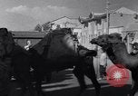 Standbild Royal Palace Teheran Iran, 1943, aus Sekunde 47 historischem Filmmaterial Videoclip 65675041194