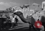 Standbild Royal Palace Teheran Iran, 1943, aus Sekunde 50 historischem Filmmaterial Videoclip 65675041194