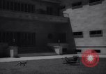 Immagine di Reza Pahlavi Iran, 1953, secondo 4 filmato di repertorio 65675041196