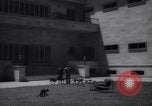 Immagine di Reza Pahlavi Iran, 1953, secondo 16 filmato di repertorio 65675041196