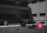 Immagine di Reza Pahlavi Iran, 1953, secondo 19 filmato di repertorio 65675041196