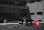 Immagine di Reza Pahlavi Iran, 1953, secondo 21 filmato di repertorio 65675041196