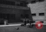Immagine di Reza Pahlavi Iran, 1953, secondo 22 filmato di repertorio 65675041196