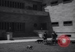 Immagine di Reza Pahlavi Iran, 1953, secondo 23 filmato di repertorio 65675041196
