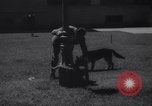Immagine di Reza Pahlavi Iran, 1953, secondo 34 filmato di repertorio 65675041196