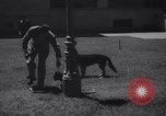 Immagine di Reza Pahlavi Iran, 1953, secondo 38 filmato di repertorio 65675041196