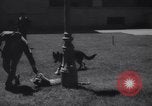Immagine di Reza Pahlavi Iran, 1953, secondo 39 filmato di repertorio 65675041196
