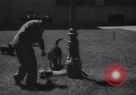 Immagine di Reza Pahlavi Iran, 1953, secondo 40 filmato di repertorio 65675041196