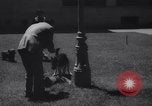Immagine di Reza Pahlavi Iran, 1953, secondo 42 filmato di repertorio 65675041196