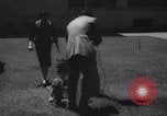 Immagine di Reza Pahlavi Iran, 1953, secondo 44 filmato di repertorio 65675041196