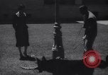Immagine di Reza Pahlavi Iran, 1953, secondo 48 filmato di repertorio 65675041196