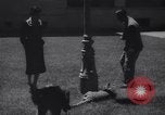Immagine di Reza Pahlavi Iran, 1953, secondo 49 filmato di repertorio 65675041196
