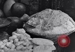 Image of Natives of Iran Iran, 1944, second 26 stock footage video 65675041198