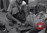 Standbild Oase Iran, 1944, aus Sekunde 10 historischem Filmmaterial Videoclip 65675041200