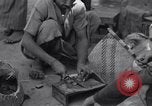 Standbild Oase Iran, 1944, aus Sekunde 11 historischem Filmmaterial Videoclip 65675041200