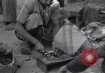 Standbild Oase Iran, 1944, aus Sekunde 12 historischem Filmmaterial Videoclip 65675041200