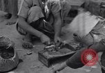 Standbild Oase Iran, 1944, aus Sekunde 15 historischem Filmmaterial Videoclip 65675041200