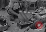 Standbild Oase Iran, 1944, aus Sekunde 18 historischem Filmmaterial Videoclip 65675041200
