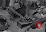 Standbild Oase Iran, 1944, aus Sekunde 19 historischem Filmmaterial Videoclip 65675041200