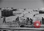 Standbild Oase Iran, 1944, aus Sekunde 20 historischem Filmmaterial Videoclip 65675041200