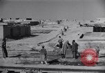 Standbild Oase Iran, 1944, aus Sekunde 27 historischem Filmmaterial Videoclip 65675041200