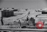 Standbild Oase Iran, 1944, aus Sekunde 28 historischem Filmmaterial Videoclip 65675041200