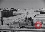 Standbild Oase Iran, 1944, aus Sekunde 29 historischem Filmmaterial Videoclip 65675041200