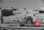 Standbild Oase Iran, 1944, aus Sekunde 31 historischem Filmmaterial Videoclip 65675041200