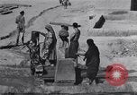 Standbild Oase Iran, 1944, aus Sekunde 33 historischem Filmmaterial Videoclip 65675041200