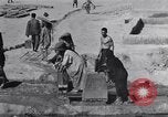 Standbild Oase Iran, 1944, aus Sekunde 36 historischem Filmmaterial Videoclip 65675041200