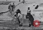 Standbild Oase Iran, 1944, aus Sekunde 37 historischem Filmmaterial Videoclip 65675041200