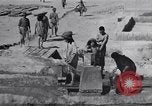 Standbild Oase Iran, 1944, aus Sekunde 39 historischem Filmmaterial Videoclip 65675041200