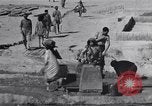 Standbild Oase Iran, 1944, aus Sekunde 40 historischem Filmmaterial Videoclip 65675041200
