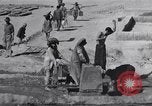Standbild Oase Iran, 1944, aus Sekunde 43 historischem Filmmaterial Videoclip 65675041200