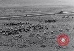 Standbild Nomaden Iran, 1944, aus Sekunde 9 historischem Filmmaterial Videoclip 65675041201