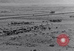Standbild Nomaden Iran, 1944, aus Sekunde 13 historischem Filmmaterial Videoclip 65675041201