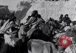 Standbild Nomaden Iran, 1944, aus Sekunde 16 historischem Filmmaterial Videoclip 65675041201