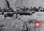 Standbild Nomaden Iran, 1944, aus Sekunde 24 historischem Filmmaterial Videoclip 65675041201