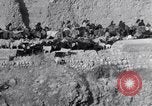Standbild Nomaden Iran, 1944, aus Sekunde 25 historischem Filmmaterial Videoclip 65675041201