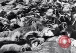 Standbild Nomaden Iran, 1944, aus Sekunde 49 historischem Filmmaterial Videoclip 65675041201
