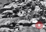 Standbild Nomaden Iran, 1944, aus Sekunde 50 historischem Filmmaterial Videoclip 65675041201